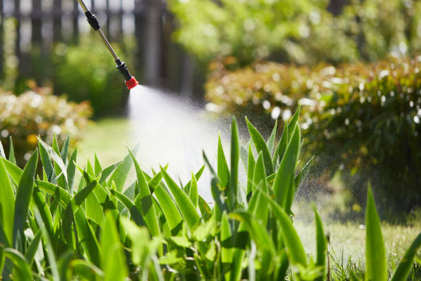 24/7 Emergency Mosquito Control experts in Mills, WY